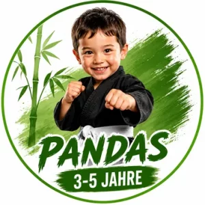 Kampfsport Kinder in Singen 3-5 Jahre