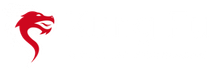 Kung Fu